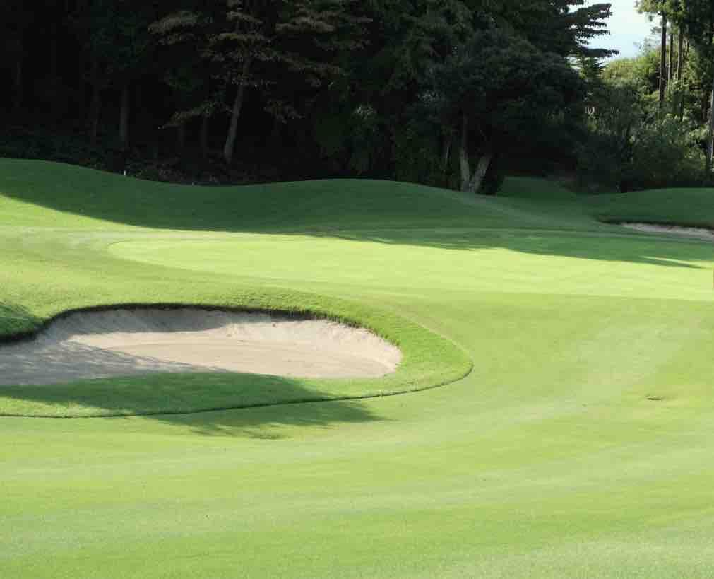 golf field image