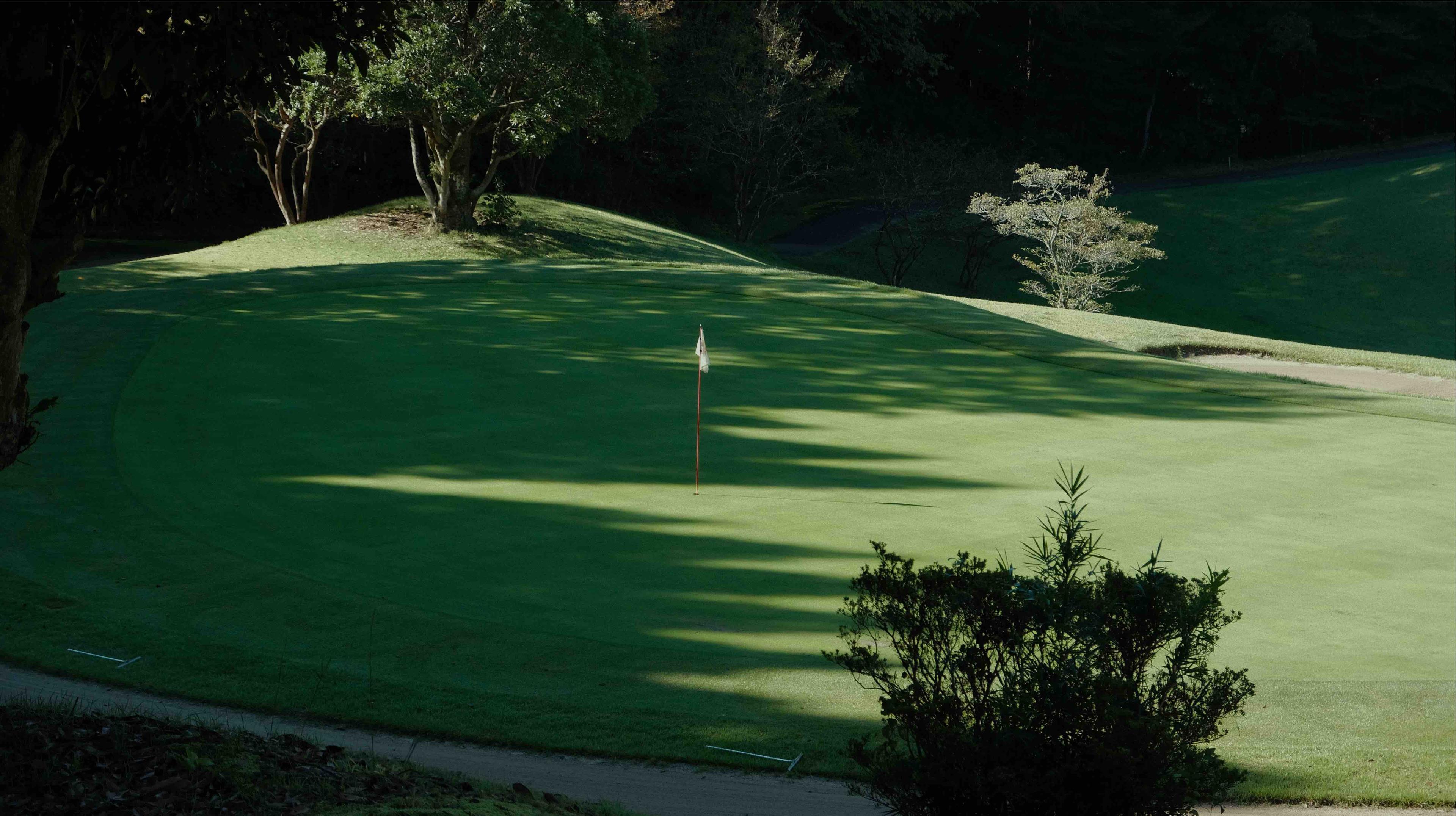 Image of Professional Golf Course